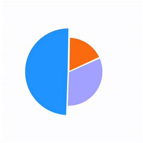 Animated Pie Chart  Customize To Your Project Shop Now