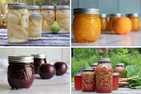 50 Fruit Canning Recipes From A To Z