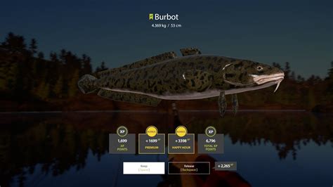 We have some good luck for both xp and silver and end a fast episode a bit closer to getting to the donets. Russian Fishing 4 Kuori Lake Burbot Spot - YouTube