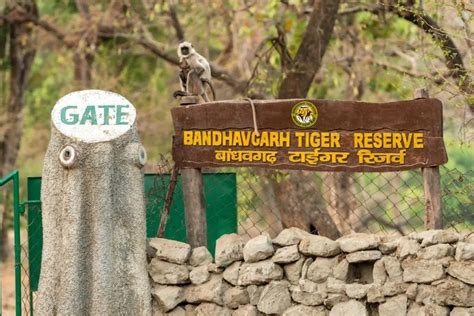 Bandhavgarh National Park Nagpur Taxi Service