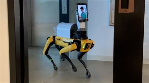 Robotic Dog Works Wonders In Er In Age Of Covid 19 Cnn Video