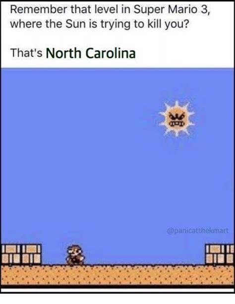 Pin By Laurie Braslins On Memes Summer Weather Memes Super Mario
