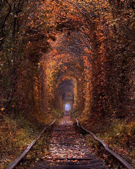 pin by earth roulette on travel inspiration in 2020 tunnel of love ukraine tunnel of love
