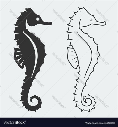Seahorse Silhouettes Royalty Free Vector Image