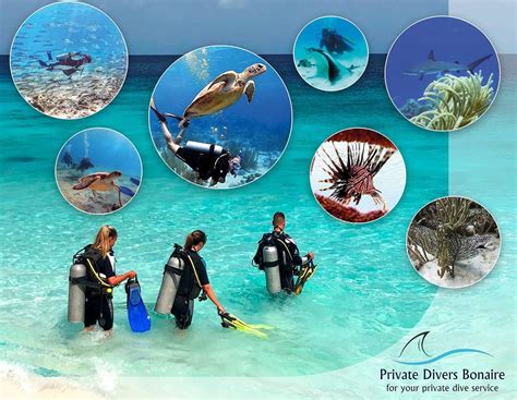 Duiken Op Bonaire Met Private Divers Bonaire Duikspullen Verhuur