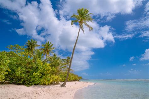 Cotourisme En Guadeloupe La Perle Des Antilles