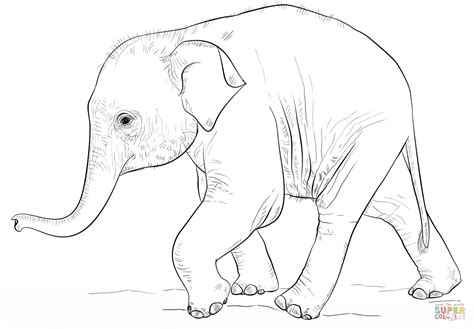 This image includes a picture that is very cool, and interesting. Cute Baby Elephant coloring page | Free Printable Coloring ...