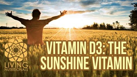 Vitamin D3 The Sunshine Vitamin Living Nutritionals