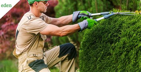 What Is The Cost Of Bush Trimming Eden Lawn Care And Snow Removal