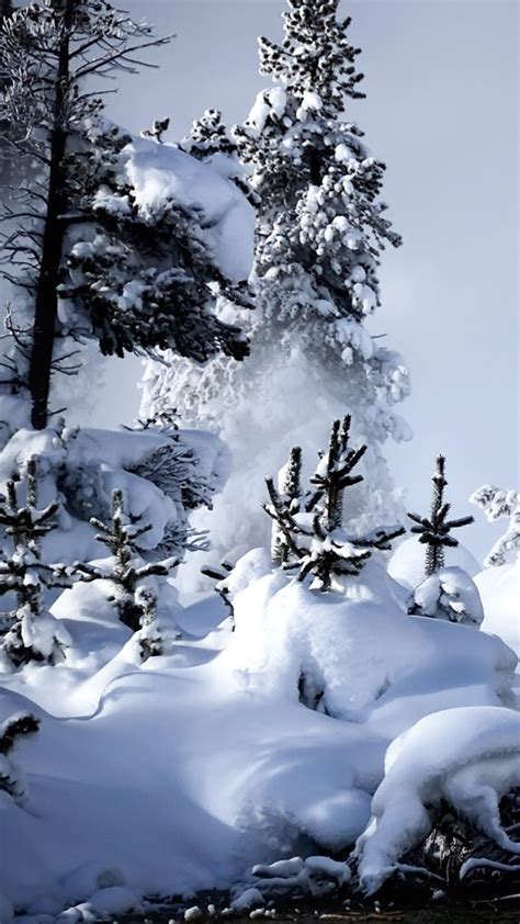 21 Stunning Snow Iphone Wallpapers Templatefor