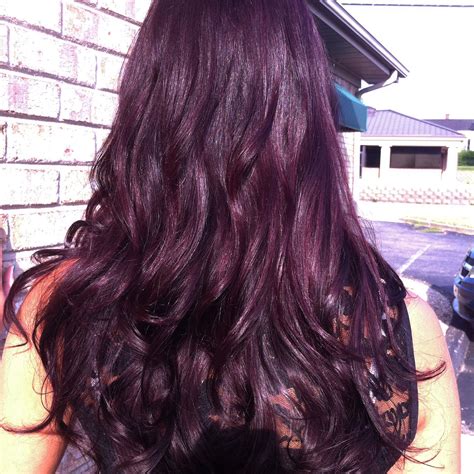 Long violet brown hair Pravana | Violet brown hair, Violet ...