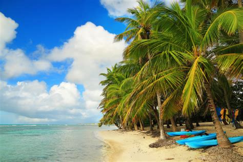 Costa kreuzfahrten vom unabhängigen spezialisten 2249 echte bewertungen reisebüro service miles & more meilen sammeln 5* trusted shop Guadeloupe - Ein Stück Frankreich in der Karibik ...