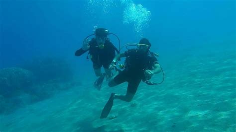 Why Do Scuba Divers Dive Backwards The Answer Might Surprise You Extremepedia