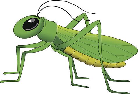 Cartoon Of A Large Green Grasshopper Illustrations Royalty Free Vector