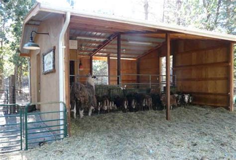 See more ideas about goat barn, goat farming, sheep. sheep barn shed - Google Search | Cattle barn, Farm layout ...