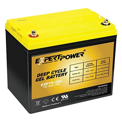 Best Group 24 Deep Cycle Rv Battery Power Up Your Next Adventure