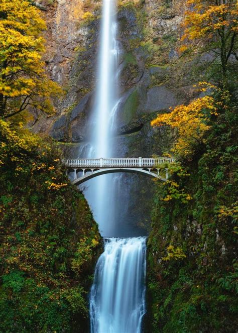 16 Things Oregon Is Known And Famous For