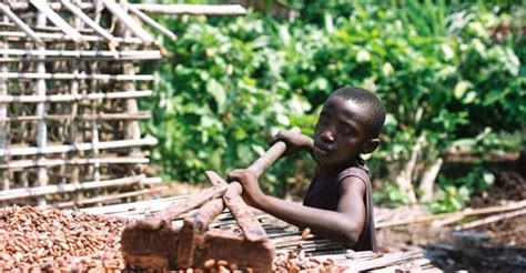 Cocobod Steps Up Campaign Against Child Labour