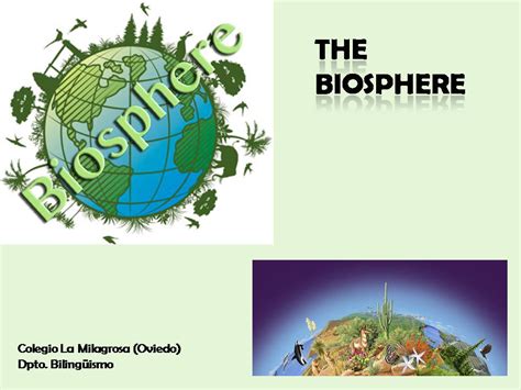 Milaenglish Blog The Biosphere