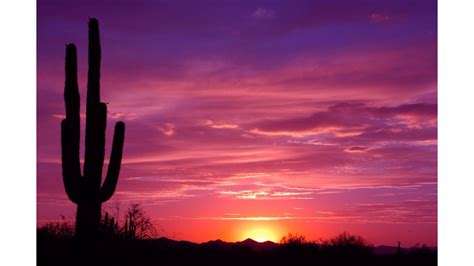 Desert Sunset Wallpapers Top Free Desert Sunset