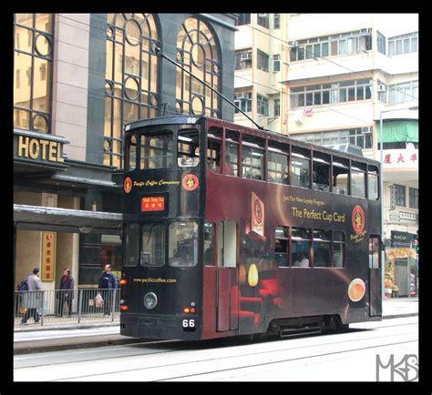 Hong Kong Trams Traveling Rockhopper