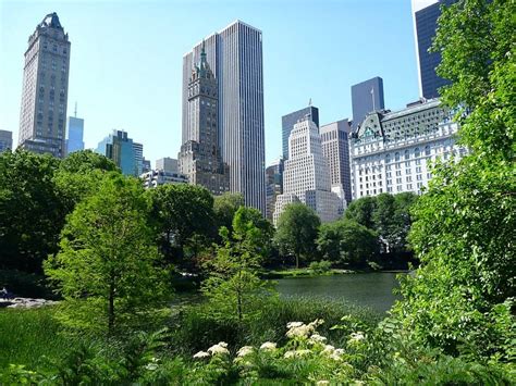 11 Ways To Enjoy A New York Summer