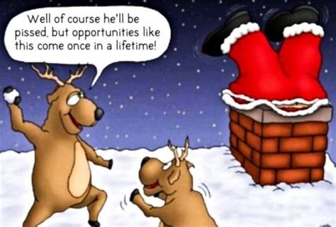 Merry Christmas Funny Ecards Hilarious Funny Christmas Images