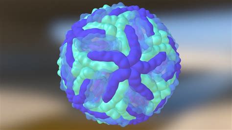 Zika Virus Meshes 3d Model By Microscape 7aca320 Sketchfab