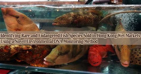 Identifying Rare And Endangered Fish Species Sold In Hong Kong Wet Markets Using A Novel