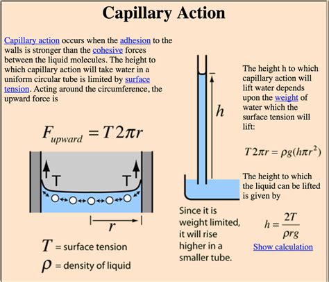 Surface Tension And Capillary Action