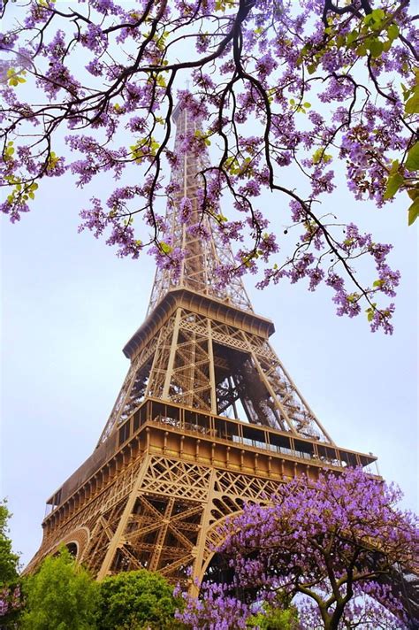 Flowers Over Eiffel Tower Beautiful Paris Eiffel Tower Tour Eiffel