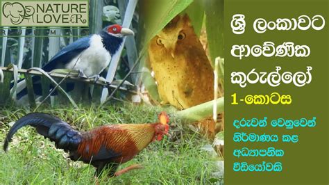 ශ්‍රී ලංකාවට ආවේණික කුරුල්ලෝ 1 කොටස Endemic Birds Of Sri Lanka Part 1