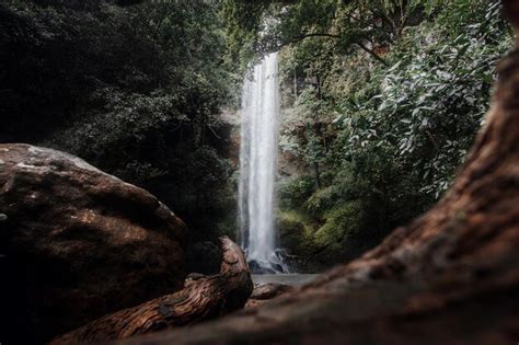 Premium Photo Chasing Waterfalls Explorations In Nature