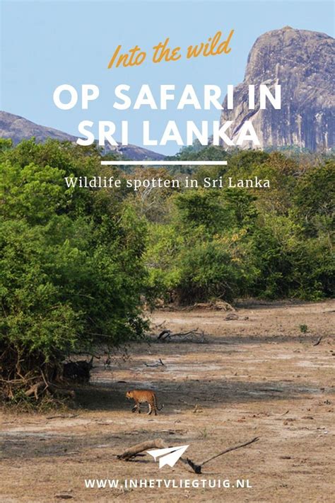 Alle Tips Voor Een Wildlife Safari In Sri Lanka Spot Luipaarden