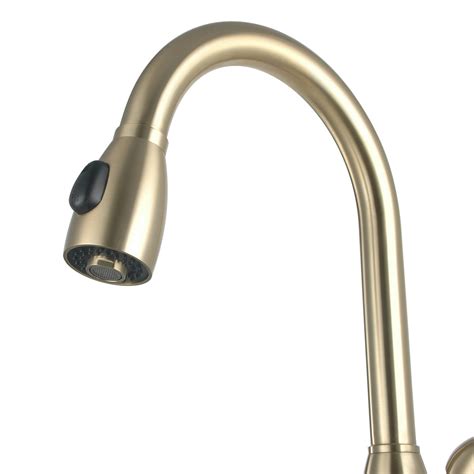 The price ranges depending on the type of. stainless steel gold kitchen faucet with sprayer ...