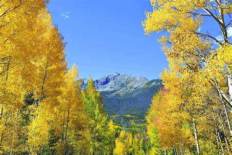 Top 6 Drives To See Fall Foliage Near Breckenridge Colorado With