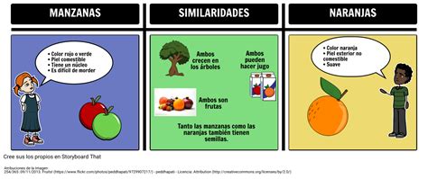 Ejemplo De Comparacion Y Contraste Storyboard Images Vrogue Co