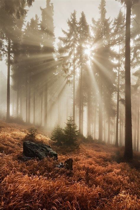 22 Magical Pictures Of Crepuscular Rays And How To Capture Them Autumn