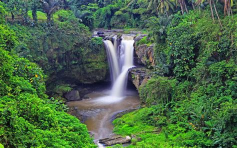 Tropical Waterfall Tegenungan Waterfall Ubud Indonesia Tropical Forest
