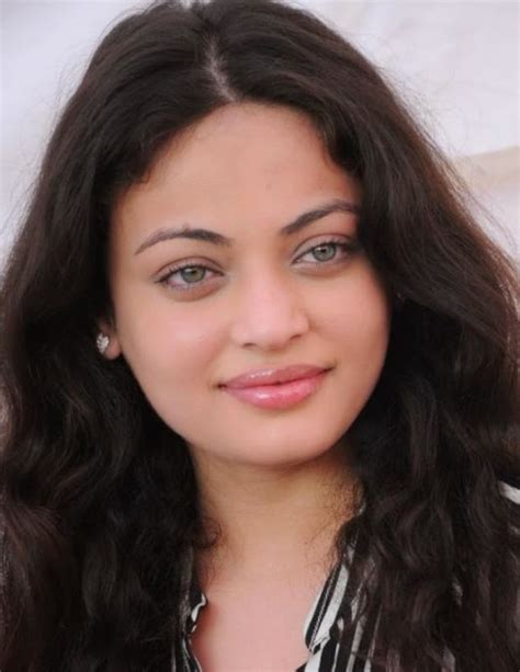 Top 12 Sneha Ullal Hd Wallpapers Free Wallpapers Download