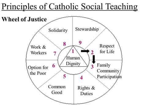 catholic social teaching wheel hot sex picture