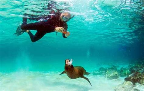Galapagos Activities Snorkeling