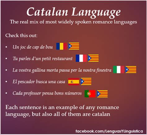 Difference Between Catalan And Spanish Whatmaster