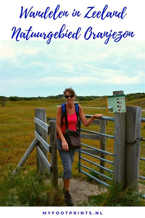 In the autumn, oranjezon is the domain of thousands of migratory birds, foraging on the abundance of berries. Wandelen in Zeeland, natuurgebied Oranjezon in 2020 ...