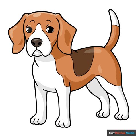How To Draw A Beagle Really Easy Drawing Tutorial