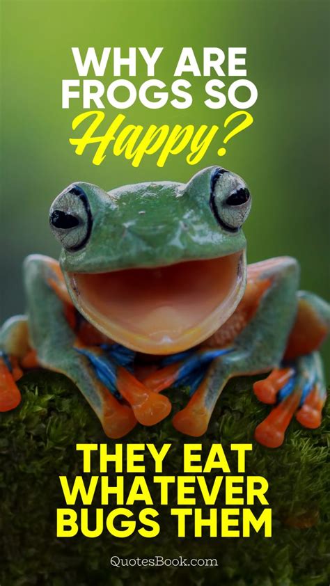 Why Are Frogs So Happy They Eat Whatever Bugs Them Quotesbook