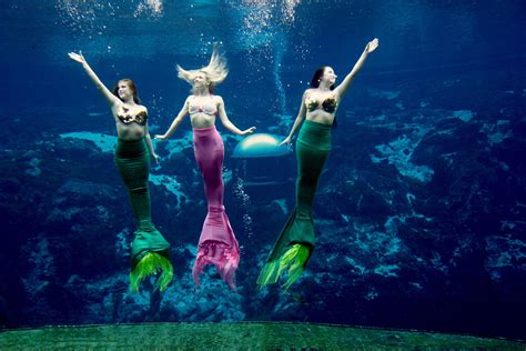 Weeki Wachee Springs