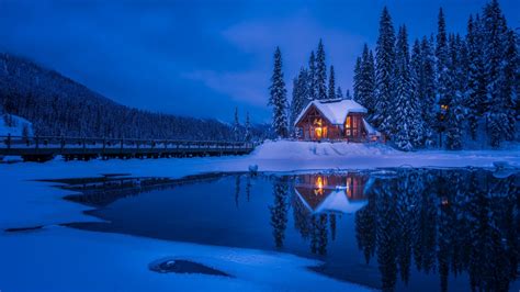 1366x768 Resolution Forest House Covered In Snow 4k 1366x768 Resolution