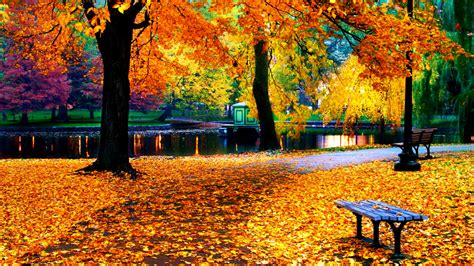 Free Download Fall Foliage Wallpapers For Desktop 1280x800 For Your