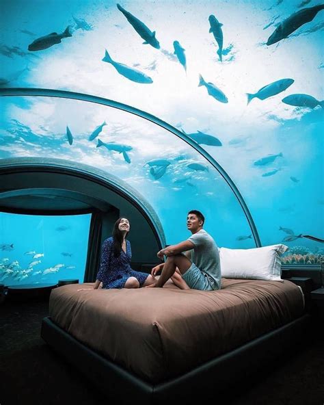 Room Maldives Underwater Hotel Prices Img Pewpew